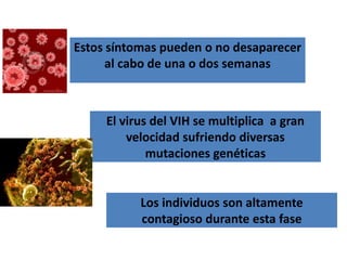 Estos síntomas pueden o no desaparecer
      al cabo de una o dos semanas



     El virus del VIH se multiplica a gran
         velocidad sufriendo diversas
             mutaciones genéticas


           Los individuos son altamente
           contagioso durante esta fase
 