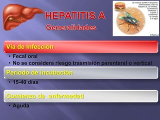 Vía de Infección
• Fecal oral
• No se considera riesgo trasmisión parenteral o vertical
Periodo de incubación
• 15-40 días

Comienzo de enfermedad
• Aguda
 