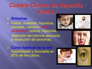    Síntomas:
   Fiebre, malestar, hiporexia,
    náuseas, vómitos, dolor
    abdominal, coluria, hipocolia.
    Aparición de ictericia asociada
    a resolución de síntomas.

   Curso habitual de la enf.
    Autolimitado y favorable en
    95% de los casos.
 