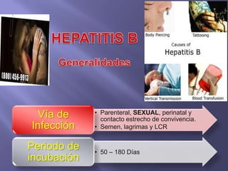 Vía de     • Parenteral, SEXUAL, perinatal y
               contacto estrecho de convivencia.
Infección    • Semen, lagrimas y LCR


Periodo de   • 50 – 180 Días
incubación
 
