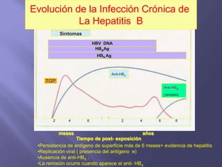 Evolución de la Infección Crónica de
           La Hepatitis B
           Síntomas
                           HBV DNA
                            HBeAg
                            HBS Ag



                                     Anti-HBc
    TGP
                                                               Anti-HBe
                                                               (remisión)




       2      4        6                  2     4          6          8


           meses                                    años
                    Tiempo de post- exposición
 •Persistencia de antígeno de superficie más de 6 meses+ evidencia de hepatitis
 •Replicación viral ( presencia del antígeno e)
 •Ausencia de anti-HBS .
 •La remisión ocurre cuando aparece el anti- HBe.
 