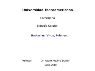 Universidad Iberoamericana Enfermería Biología Celular  Profesor: Dr. Adam Aguirre Ducler. Junio 2008 Bacterias, Virus, Priones. 