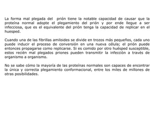 La forma mal plegada del  prión tiene la notable capacidad de causar que la proteína normal adopte el plegamiento del prión y por ende llegue a ser infecciosa, que es el equivalente del prión tenga la capacidad de replicar en el huesped. Cuando una de las fibrillas amiloides se divide en trozos más pequeños, cada uno puede inducir el proceso de conversión en una nueva célula; el prión puede entonces propagarse como replicarse. Si es comido por otro huésped susceptible, estos recién mal plegados priones pueden transmitir la infección a través de organismo a organismo. No se sabe cómo la mayoría de las proteínas normales son capaces de encontrar la única y correcta plegamiento conformacional, entre los miles de millones de otras posibilidades. 