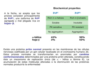 A la fecha, se acepta que los priones consisten principalmente de  PrP Sc , una isoforma de  PrP C   agregada y mal plegada rica en  hojas- β . Existe una proteína  prión normal  presente en las membranas de las células nerviosas codificada por un gen celular localizado en el cromosoma humano 20. Estos priones normales se transformarían en anormales por  cambios conformacionales  determinados por una proteína prión alterada, constituyendo éste un mecanismo de replicación único (de    - hélice a lámina ß). La acumulación de estas moléculas alteradas o la disminución de las proteínas normales produciría la enfermedad  -hélice 42% 30% hoja-  3% 43% 