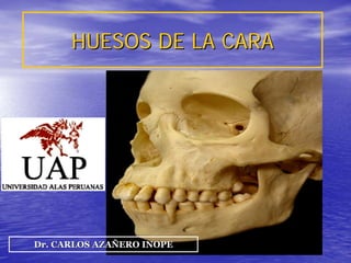 HUESOS DE LA CARA




Dr. CARLOS AZAÑERO INOPE
               DR. CARLOS AZAÑERO INOPE
 