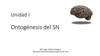 Unidad I
Ontogénesis del SN
MSc. Klgo. Valentín Aliaga A.
Neurociencias/Universidad Autónoma de Chile
 