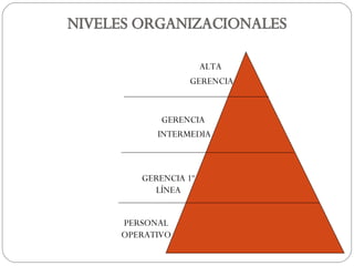 NIVELES ORGANIZACIONALES ALTA  GERENCIA GERENCIA INTERMEDIA GERENCIA 1º LÍNEA PERSONAL OPERATIVO 