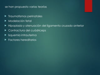 se han propuesto varias teorías
 Traumatismos perinatales
 Modelación fetal
 Hipoplasia y atenuación del ligamento cruzado anterior
 Contractura del cuádriceps
 Isquemia intrauterina
 Factores hereditarios
 