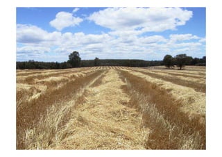 Ing. Agr. Miguel HERRERA
Ing. Agr. Miguel HERRERA –
– Mecanizaci
Mecanizació
ón Agr
n Agrí
ícola FCA. UNER
cola FCA. UNER
 