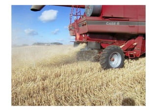 Ing. Agr. Miguel HERRERA
Ing. Agr. Miguel HERRERA –
– Mecanizaci
Mecanizació
ón Agr
n Agrí
ícola FCA. UNER
cola FCA. UNER
 