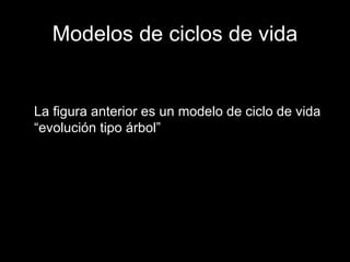 Modelos de ciclos de vida La figura anterior es un modelo de ciclo de vida “evolución tipo árbol” 