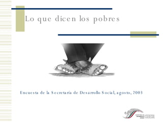Lo que dicen los pobres Encuesta de la Secretaría de Desarrollo Social, agosto, 2003 