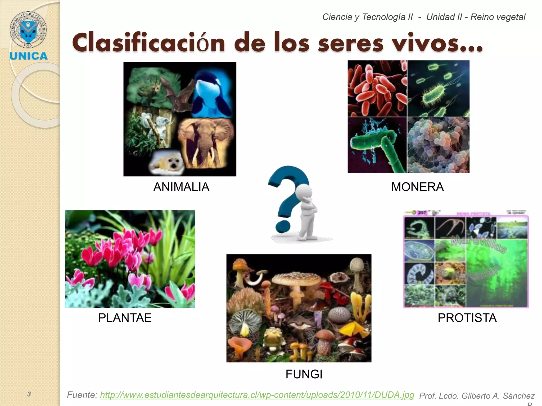 Clase 3 Los 5 Reinos - Ciencia y Tecnologia II | PPSX