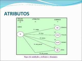 ATRIBUTOS 