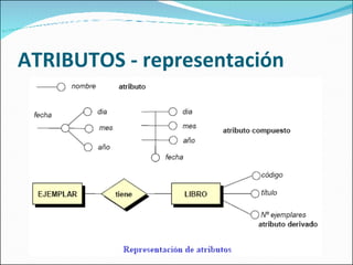ATRIBUTOS - representación 