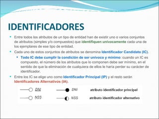 IDENTIFICADORES Entre todos los atributos de un tipo de entidad han de existir uno o varios conjuntos de atributos (simples y/o compuestos) que  identifiquen unívocamente  cada una de los ejemplares de ese tipo de entidad. Cada uno de estos conjuntos de atributos se denomina  Identificador Candidato (IC). Todo IC debe cumplir la condición de ser unívoco y mínimo : cuando un IC es compuesto, el número de los atributos que lo componen debe ser mínimo, en el sentido de que la eliminación de cualquiera de ellos le haría perder su carácter de identificador. Entre los IC se elige uno como  Identificador Principal (IP)  y el resto serán  Identificadores Alternativos (IA). 