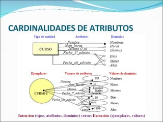 CARDINALIDADES DE ATRIBUTOS 