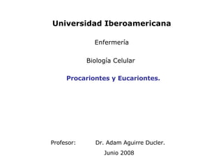 Profesor: Dr. Adam Aguirre Ducler. Junio 2008 Procariontes y Eucariontes. Universidad Iberoamericana Enfermería Biología Celular  