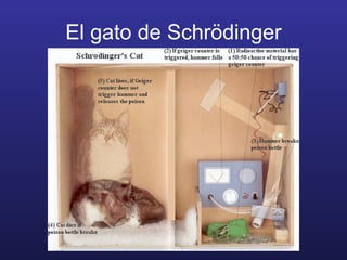 El gato de Schr ödinger 
