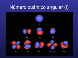 Número cuántico angular (l) 
