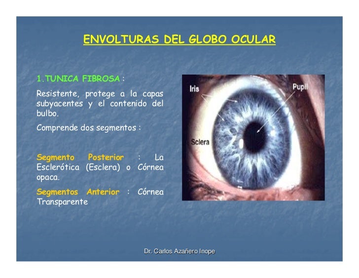 La cosmetología de la persona en spb la clínica ella