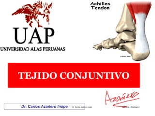 TEJIDO CONJUNTIVO


Dr. Carlos Azañero Inope   Dr. Carlos Azañero Inope   Anatomia y Fisiología I
 