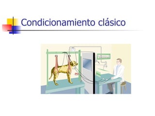 Condicionamiento clásico  