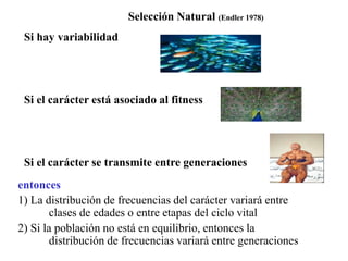 Selección Natural (Endler 1978)
Si hay variabilidad
Si el carácter está asociado al fitness
Si el carácter se transmite entre generaciones
entonces
1) La distribución de frecuencias del carácter variará entre
clases de edades o entre etapas del ciclo vital
2) Si la población no está en equilibrio, entonces la
distribución de frecuencias variará entre generaciones
 