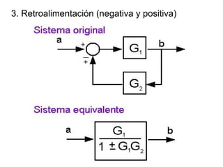 3. Retroalimentación (negativa y positiva) 