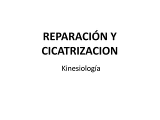 REPARACIÓN Y
CICATRIZACION
Kinesiología
 
