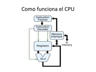 Como funciona el CPU
 
