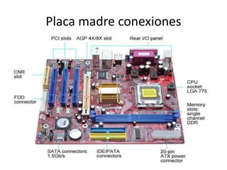 Placa madre conexiones
 