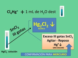 Cl4Hg=
+1 mL de H2O dest
HgCl2 solución
Exceso III gotas SnCl2
Agitar - Reposo
Hgo
↓
GRIS OSCURO
Hg2Cl2 ↓
BLANCO
CONFIRMACIÓN PARA MERCURIO
 