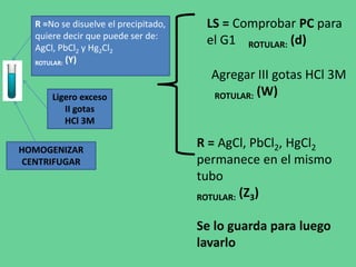 R =No se disuelve el precipitado,
quiere decir que puede ser de:
AgCl, PbCl2 y Hg2Cl2
ROTULAR: (Y)
Ligero exceso
II gotas
HCl 3M
HOMOGENIZAR
CENTRIFUGAR
LS = Comprobar PC para
el G1 ROTULAR: (d)
R = AgCl, PbCl2, HgCl2
permanece en el mismo
tubo
ROTULAR: (Z3)
Se lo guarda para luego
lavarlo
Agregar III gotas HCl 3M
ROTULAR: (W)
 