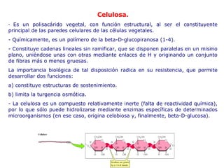 Clase 4 Moleculas Organicas