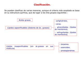Clase 4 Moleculas Organicas