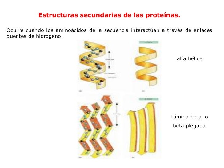 Clase 4 Moleculas Organicas