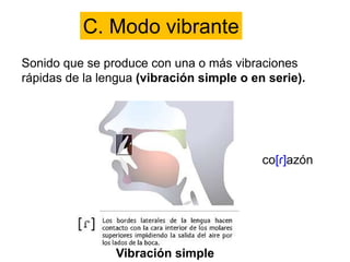C. Modo vibrante
Sonido que se produce con una o más vibraciones
rápidas de la lengua (vibración simple o en serie).
Vibración simple
 