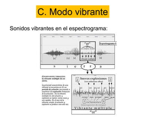 C. Modo vibrante
Sonidos vibrantes en el espectrograma:
 
