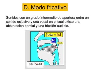 D. Modo fricativo
Sonidos con un grado intermedio de apertura entre un
sonido oclusivo y una vocal en el cual existe una
obstrucción parcial y una fricción audible.
 