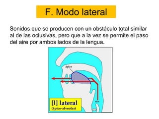 F. Modo lateral
Sonidos que se producen con un obstáculo total similar
al de las oclusivas, pero que a la vez se permite el paso
del aire por ambos lados de la lengua.
 