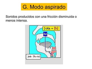 G. Modo aspirado
Sonidos producidos con una fricción disminuida o
menos intensa.
 