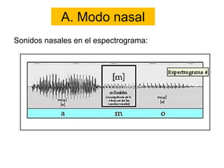 Sonidos nasales en el espectrograma:
A. Modo nasal
 
