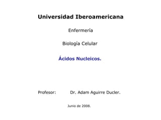 Profesor: Dr. Adam Aguirre Ducler.   Junio de 2008. Ácidos Nucleicos. Universidad Iberoamericana Enfermería Biología Celular  