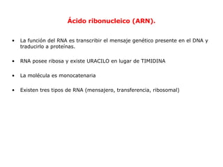 Ácido ribonucleico (ARN). La función del RNA es transcribir el mensaje genético presente en el DNA y traducirlo a proteínas. RNA posee ribosa y existe URACILO en lugar de TIMIDINA La molécula es monocatenaria Existen tres tipos de RNA (mensajero, transferencia, ribosomal) 