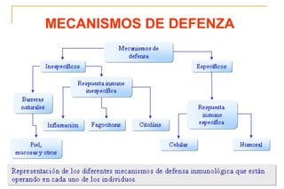 MECANISMOS DE DEFENZA
 