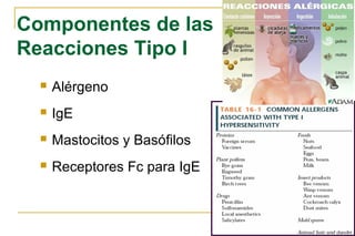 Componentes de las
Reacciones Tipo I
     Alérgeno
     IgE
     Mastocitos y Basófilos
     Receptores Fc para IgE
 