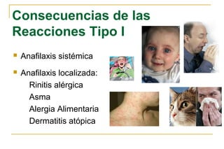 Consecuencias de las
Reacciones Tipo I
   Anafilaxis sistémica
   Anafilaxis localizada:
      Rinitis alérgica
      Asma
      Alergia Alimentaria
      Dermatitis atópica
 