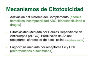 Mecanismos de Citotoxicidad
1.   Activación del Sistema del Complemento (anemia
     hemolítica incompatibilidad ABO, hipersensibilidad a
     drogas)

2.   Citotoxicidad Mediada por Células Dependiente de
     Anticuerpos (ADCC). Producción de Ac anti
     receptores, ej receptor de acetil colina ( miastenia gravis)

3.   Fagocitosis mediada por receptores Fc y C3b .
     (enfermedades autoinmunes).
 