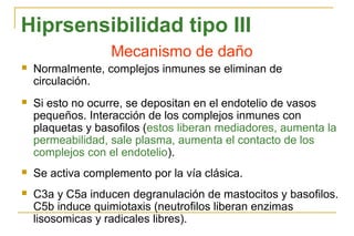 Hiprsensibilidad tipo III
                   Mecanismo de daño
   Normalmente, complejos inmunes se eliminan de
    circulación.
   Si esto no ocurre, se depositan en el endotelio de vasos
    pequeños. Interacción de los complejos inmunes con
    plaquetas y basofilos (estos liberan mediadores, aumenta la
    permeabilidad, sale plasma, aumenta el contacto de los
    complejos con el endotelio).
   Se activa complemento por la vía clásica.
   C3a y C5a inducen degranulación de mastocitos y basofilos.
    C5b induce quimiotaxis (neutrofilos liberan enzimas
    lisosomicas y radicales libres).
 